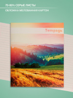  48   , Calligrata  , 