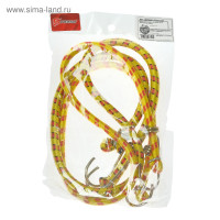     Torso, 80 , D8 ,  , ,  2 