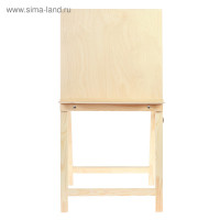   , 100  50  55 ,  50  50 ,    ,  , Calligrata