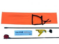    Calypso  