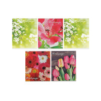  48    Calligrata ,  , 