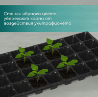   ,  32 ,  110 , , , 53.5 27 5.5 , Greengo