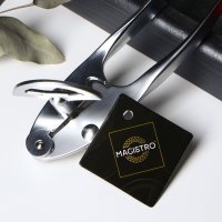   Magistro Volt,  ,  