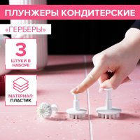     , 3 ,  : 4,3 , 4,8 , 5,5 