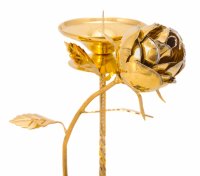 ������� "����" (����������, ����) ��������