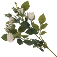   , L27 W21 H68 