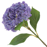 ������ ������������� ���������, L26 W17 H67 ��