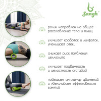 ����� ��������� Sangh, 30�10 ��, ���� ������