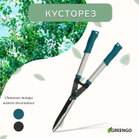 , 22 (56 ),  ,   , , Greengo