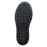       Ice Land 543-, -60,  38-39, 