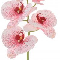 ������ ������������� �������, L13 W10 H75 ��, 4�.