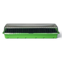 -  , 56   17   12 , 3 , 27 , , Greengo