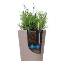   Prosperplast Izwko325