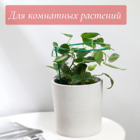   , D=15 , H=25 ,  D=0.3 , , , Greengo