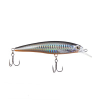 ������ Namazu Zoolander, 9.5 ��, 13.3 �, ������, ��������� (0.5-1 �), ���� 5