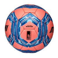   Atemi Winter Training, . , .5, /,  68-70