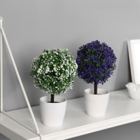 ������������� ������ � ������ �������� ��������, 10 19 ��, ����