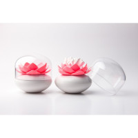      Lotus, /