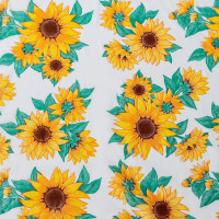      , 120x160(+/-5) ,  