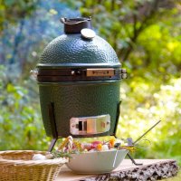   Big Green Egg Mini  (  25 )