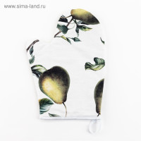 - ""  2027,100% ,  250/2 ()