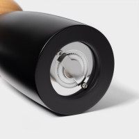    Magistro Ollander, 17 ,  