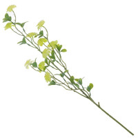 ������ ������������� (���� 2��), L17 W6 H77 ��, 4�.