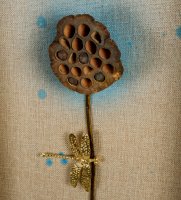 Art-401/2 ����� �������� ����