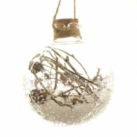      , D 10 , L10 W10 H10 