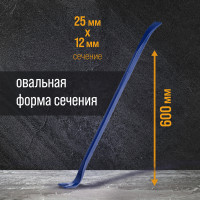 - , , 65 , 600 25 12 