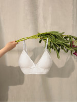   (, ) Collorista, ,  42-44