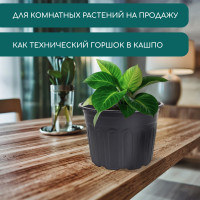   , 4 , D=21 , H=15 ,  , , Greengo