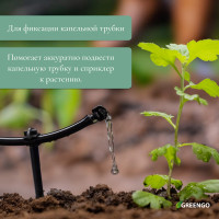    , D=5 , , Greengo
