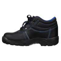    Prosafe Basic 12,  ,  43