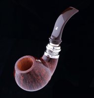  Ser Jacopo L1 C Pulchra