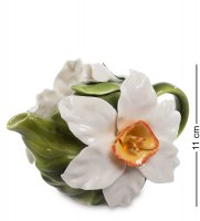 Cms-09/ 1    (pavone)