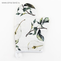 - ""  2027,100% ,  250/2 ()