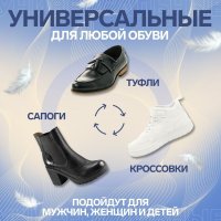   , , - Ru  39 (- -  40), 25,5 , ,  