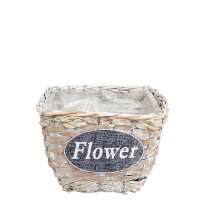  ����� ������������, ��������  Flower  14x14x12 ��, ������ ���, ��� �������� 