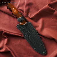  ,  ""  ,  - 4013,  , 14.5 