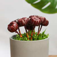    Take It Easy ,  10 .,  ,  , 4 2 