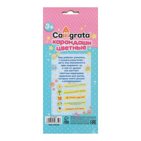  Calligrata , , 12 , , 