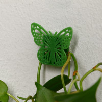 ��������� ��� �������� ��������, �������������, ��������, ����� 10 ��., Greengo