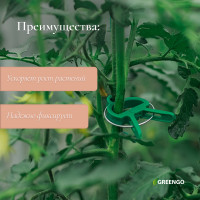    :   (6.5 ) - 10 .,   (4.5 ) - 10 ., Greengo