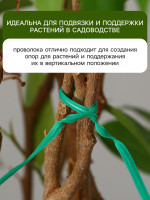  , 10 ,   100 ., , Greengo