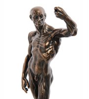 Pr-hou01  (anatomical Study.Parastone)
