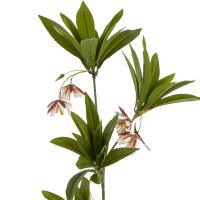 ������ �������������, L22 W15 H92 ��