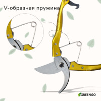 ������� �����������, 8 (20 ��), � �������������� �������, ����, Greengo