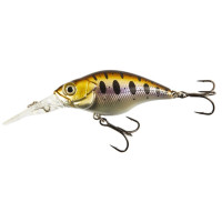  . Lj Original Shady Crank F, 6 ,  A029