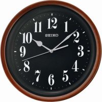   Seiko Qxa550z